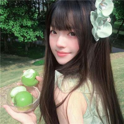 杨六郎智破连环计